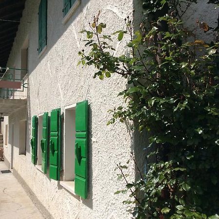 Casa Fiorellino ベッルーノ エクステリア 写真